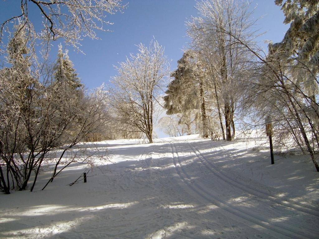Heidehotel Hildfeld Winterberg Extérieur photo
